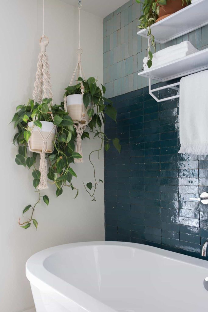 Hangingplants