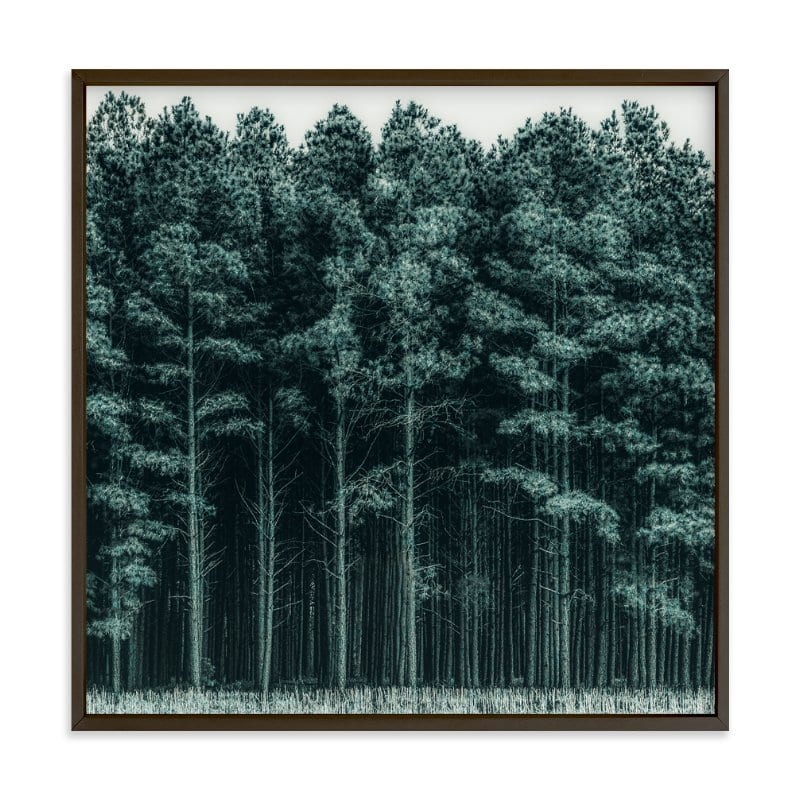 Through The Trees