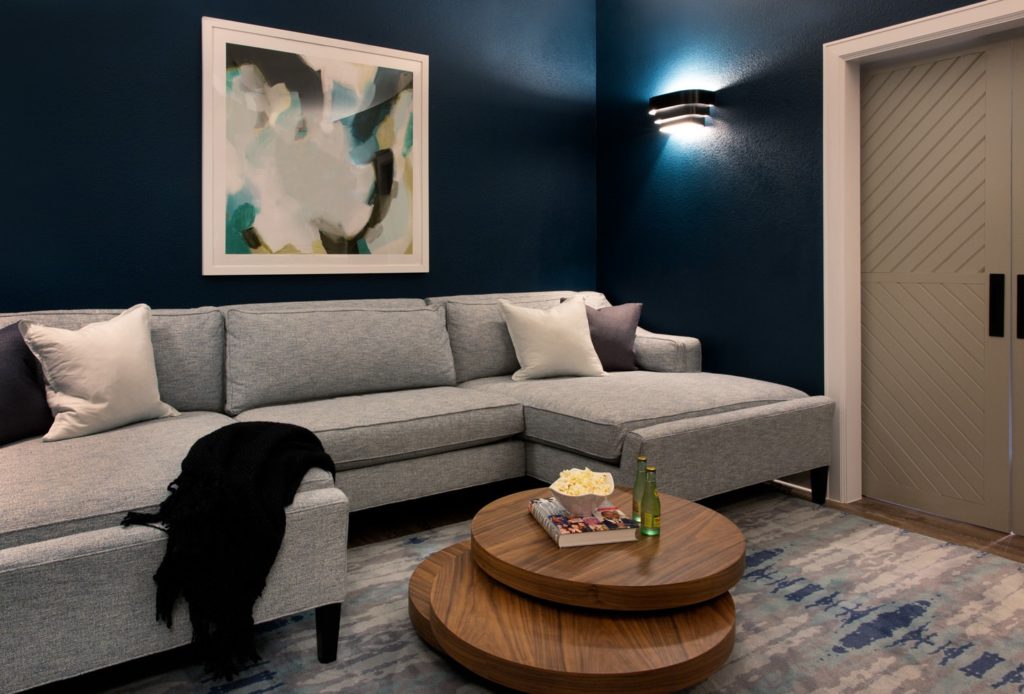 Drippings Springs Family Retreat Media Room Interior Design