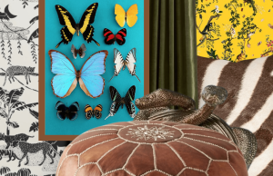 Jungle Kids Room Paste Package Mood Board