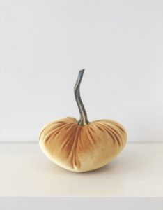 Small Velvet Pumpkin