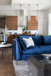 Dream Catcher Modern Getaway Open Kitchen Design